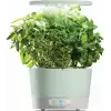 AeroGarden Harvest 360 Kapalı Bahçe Topraksız - LED Büyüme Işığı