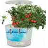 AeroGarden Harvest 360 Kapalı Bahçe Topraksız - LED Büyüme Işığı
