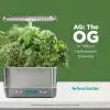 AeroGarden Harvest Elite Kapalı Bahçe Topraksız Sistemi - Paslanmaz Çelik