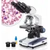 AmScope B120C Siedentopf Binoküler Bileşik Mikroskop 40X-2500X