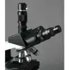 AmScope T490 Bileşik Trinoküler Mikroskop