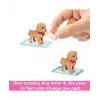 Barbie Oyuncak Bebek Yavru Köpek Sahiplenme Oyun Seti