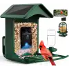 BirdLegend Akıllı Kuş Yemliği Kameralı Güneş Enerjili, 1080P HD - Yeşil