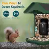 BirdLegend Akıllı Kuş Yemliği Kameralı Güneş Enerjili, 1080P HD - Yeşil
