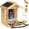 BirdLegend BL02 Akıllı Kuş Yemliği, Kamera, Yapay Zeka, 64 GB Kart, 1080P HD