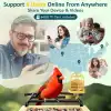 BirdLegend BL02 Akıllı Kuş Yemliği, Kamera, Yapay Zeka, 64 GB Kart, 1080P HD
