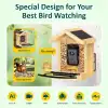 BirdLegend BL02 Akıllı Kuş Yemliği, Kamera, Yapay Zeka, 64 GB Kart, 1080P HD