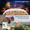 BirdSnap P33 - Güneş Enerjili 2K Video Canlı Kuş Kamerası Yemliği - Kırmızı