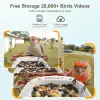 BirdSnap P33 - Güneş Enerjili 2K Video Canlı Kuş Kamerası Yemliği - Kırmızı
