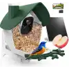 BirdSnap P33 - Güneş Enerjili 2K Video Canlı Kuş Kamerası Yemliği - Koyu Yeşil