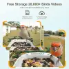 BirdSnap P33 - Güneş Enerjili 2K Video Canlı Kuş Kamerası Yemliği - Koyu Yeşil