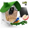 BirdSnap P33 - Güneş Enerjili 2K Video Canlı Kuş Kamerası Yemliği - Yeşil