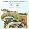 BirdSnap P33 - Güneş Enerjili 2K Video Canlı Kuş Kamerası Yemliği - Yeşil