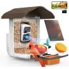 BirdSnap PAV - Akıllı Kuş Yemliği, Güneş Enerjili Kamera 2K HD - Koyu Kahverengi