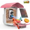BirdSnap PAV - Akıllı Kuş Yemliği, Güneş Enerjili Kamera 2K HD - Pembe