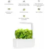 Click & Grow Kapalı Alan Bitki Bahçesi Seti Büyüme Işığı - Beyaz
