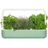 Click & Grow Kapalı Alan Bitki Bahçesi Seti Büyüme Işığı İle - Açık Yeşil