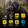 Dogtra 1900X 2 Köpek için Uzaktan Kumandalı E-Collar - 3/4 Mil, 16+ Kg Köpekler