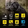 Dogtra 1900X E-Collar Eğitimi Tasması - 3/4 Mil, 16+ Kg Köpekler