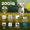 Dogtra 200iQ Uzaktan Eğitim E-Tasması 4,5+ Kg Köpekler - Modern Dots