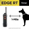 Dogtra Edge RT Uzun Menzilli Yüksek Çıkışlı Uzaktan Köpek Eğitimi