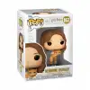 Funko Pop! & Buddy: Hermione Granger with Crookshanks Figürü
