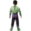 Jazwares Marvel Erkek Çocuklar İçin Deluxe Hulk Kostümü
