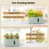 LetPot 5 Pod Topraksız Yetiştirme Sistemi, Akıllı Kapalı Bahçe