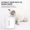 PETKIT EVERSWEET Solo 2 Köpek Kedi Kablosuz Pompalı Su Çeşmesi