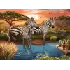 Ravensburger Zebra 500 Parça Puzzle - 17376 - 48.2 x 35.5 cm