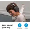 Sennheiser Consumer Audio HD 450SE 5.0 Kablosuz Kulaklık