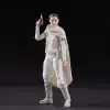 STAR WARS The Black Series Padme Amidala Figür