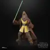 STAR WARS The Black Series The Acolyte Jedi Master Kelnacca Figür