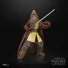 STAR WARS The Black Series The Acolyte Jedi Master Kelnacca Figür