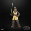 STAR WARS The Black Series The Acolyte Jedi Master Kelnacca Figür