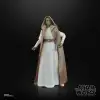 STAR WARS The Black Series The Acolyte Jedi Master Vernestra Rwoh Figürü