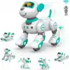 STEMTRON Programlanabilir Uzaktan Kumandalı Robot Köpek - Turkuaz