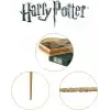 The Noble Collection Hermione Granger Asası ve Ollivanders Asa Kutusu