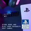 WD_BLACK 1 TB PS5 Konsolları için Soğutuculu SSD
