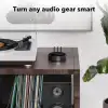 WiiM Mini AirPlay2 Kablosuz Ses Aktarıcı