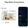 WiiM Mini AirPlay2 Kablosuz Ses Aktarıcı
