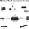 WiiM Pro AirPlay 2 - WiFi Çok Odalı Yayıncı Chromecast