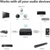 WiiM Pro AirPlay 2 - WiFi Çok Odalı Yayıncı Chromecast