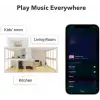 WiiM Pro AirPlay 2 - WiFi Çok Odalı Yayıncı Chromecast
