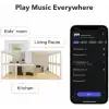 WiiM Pro AirPlay 2 - WiFi Çok Odalı Yayıncı Chromecast