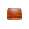 Tria TRA 3753 Kaymaz Tepsi 37X53 Cm