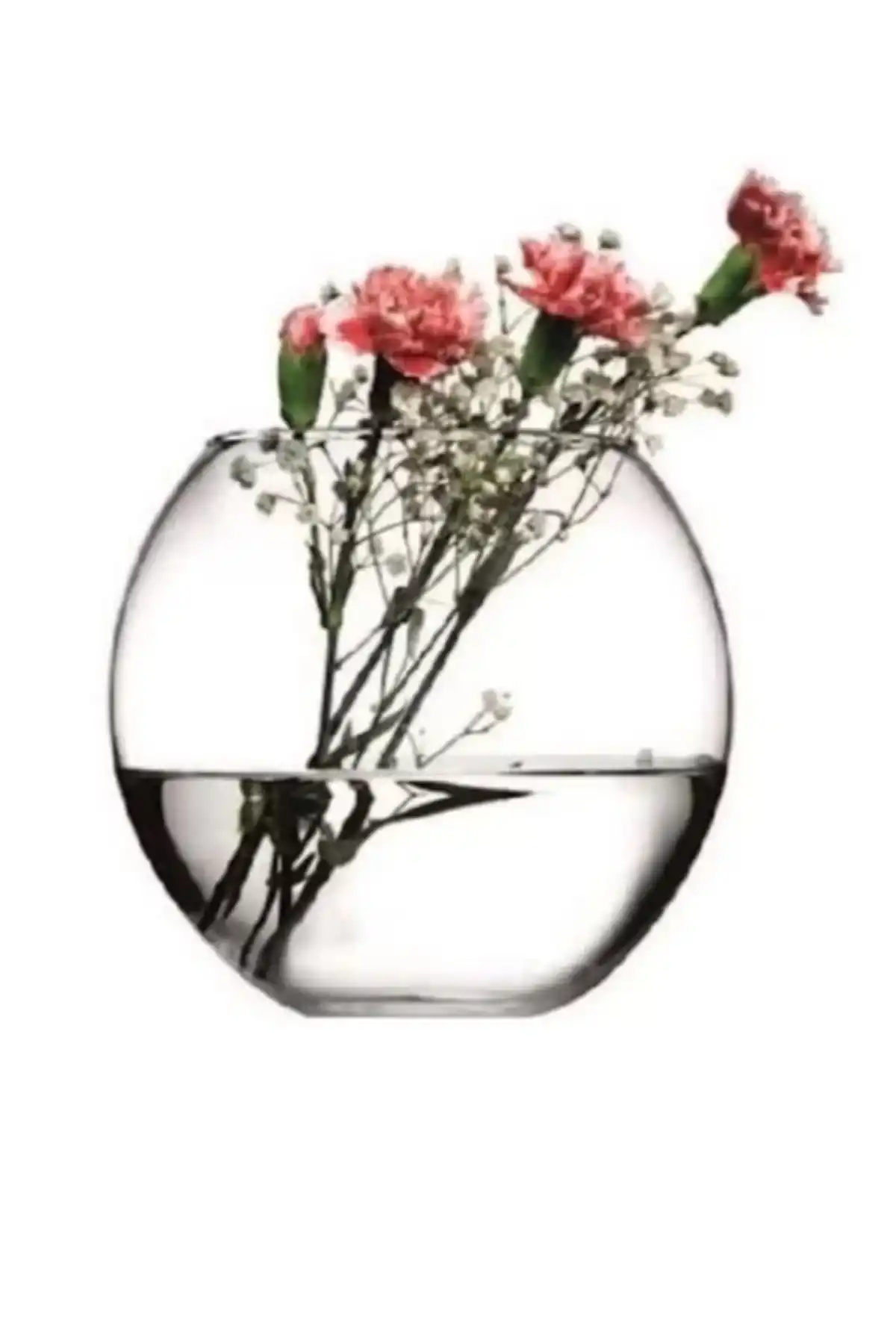 Paşabahçe 45068 Flora Sade Cam Fanus 19x16 cm