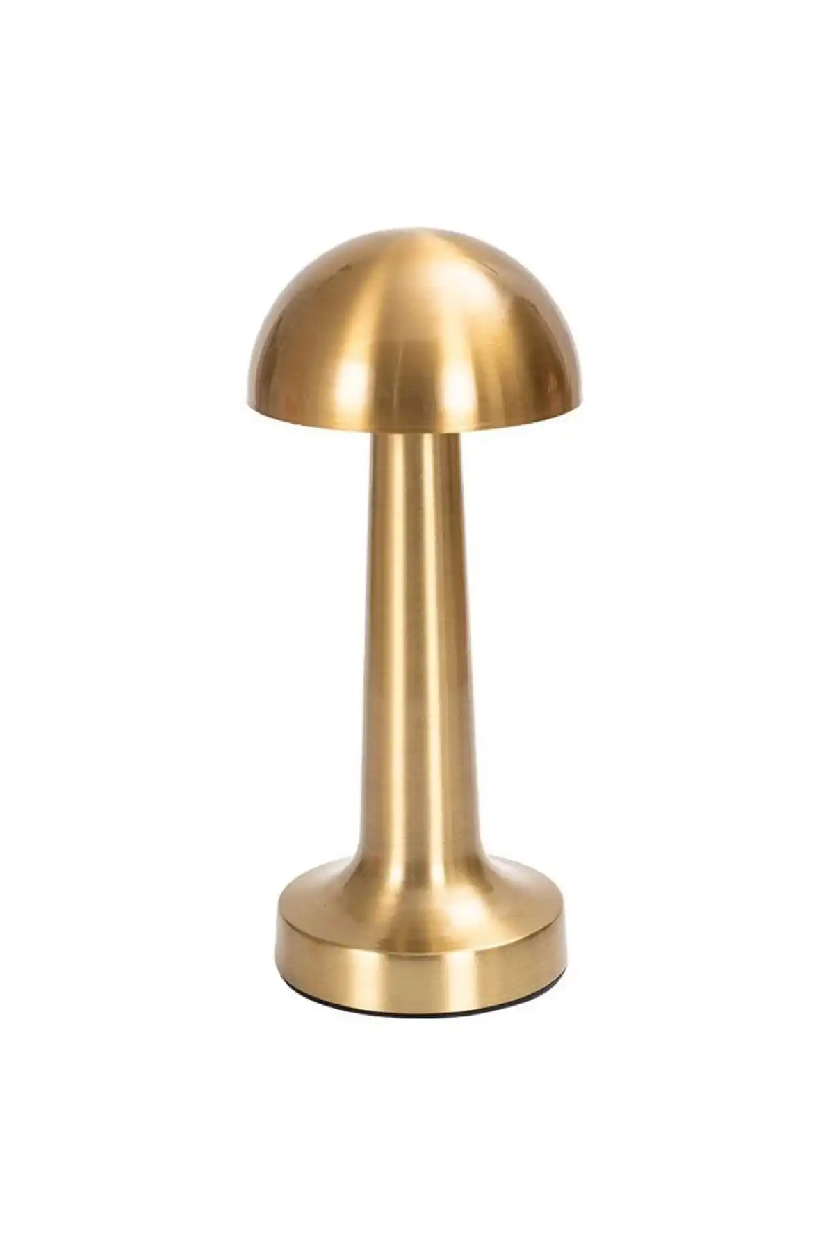 Mien Mini Led Masa Lambası