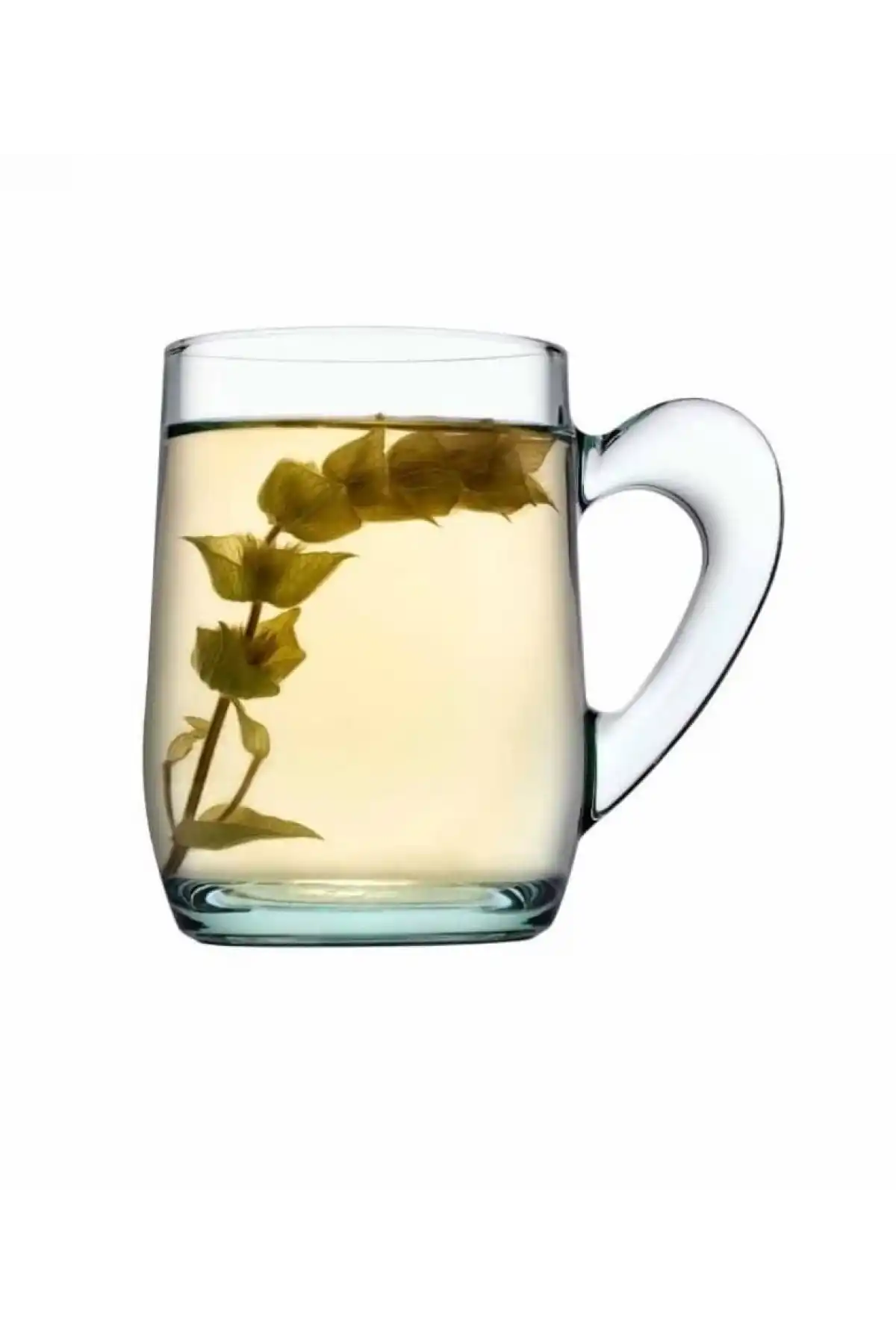 Paşabahçe 55521 Aware Mocha & Chai Kupa 335 cc 2li