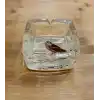 Dnr Cam Küllük